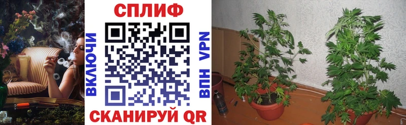 Канабис индика Уварово